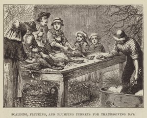Kalkoenen schroeien, plukken en opblazen voor Thanksgiving Day