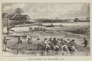 Shad vissen in Delaware Bay door George Augustus Sala