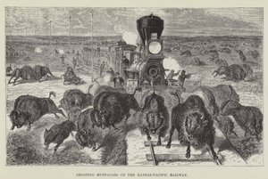 Buffels schieten op de Kansas-Pacific Railway