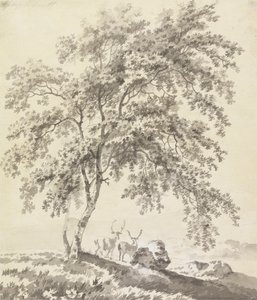 Boomstudie met herten (landschap)