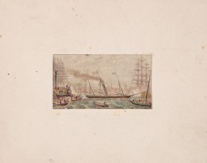 Naalddoosafdruk: De koninklijke vloot in Kilkenny Bay (?)