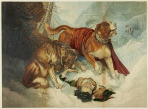 De honden van St. Bernard