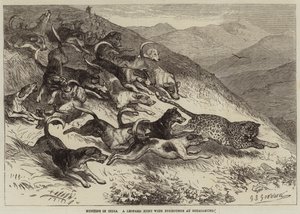 Jacht in India, een luipaardjacht met vossenjacht in Ootacamund door George Bouverie Goddard