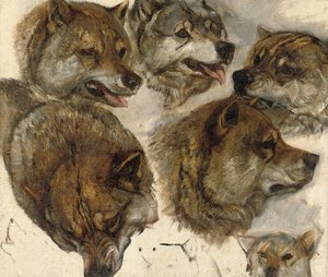 Studies van huskykoppen door George Bouverie Goddard