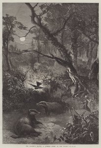 Het hol van de das, een zomernacht in het bos