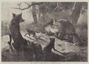De Vossenfamilie Thuis