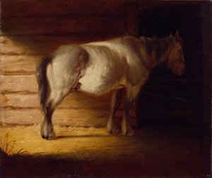 Oud veldpaard, 1856 (olieverf op doek)