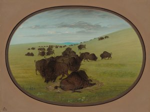 Een buffelwallow, 1861-1869