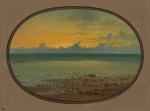 Een walvis aan land - Klahoquat door George Catlin