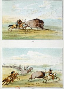 Amerikaanse Indianen: bizonjacht. Illustratie door George Catlin (1794-1872)
