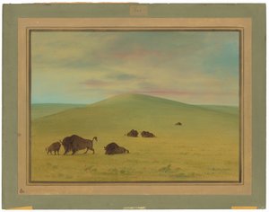 Amerikaanse weide - Prairies van de Platte door George Catlin