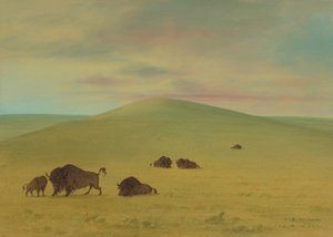 Amerikaanse weiden - Prairies van de Platte door George Catlin