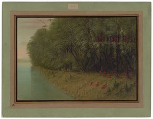 Een Amazonebos - Kijken naar de Oever door George Catlin