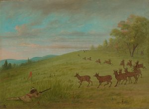 Antilopen Jacht - Assinneboine door George Catlin