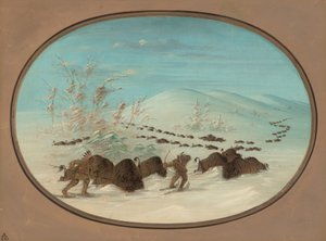 Buffeljacht in de sneeuwdriften - Ojibbeway