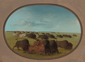 Buffeljacht, met Ongelukken, 1861-1869