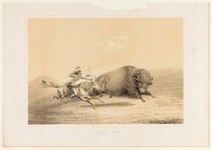 Buffeljacht, jacht--nr. 5