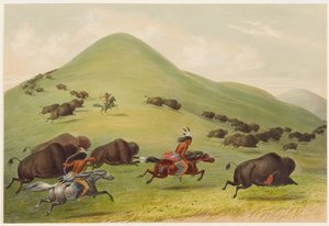 Buffeljacht: achtervolging door George Catlin