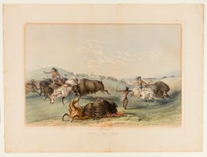Buffeljacht, jacht nr. 7 door George Catlin