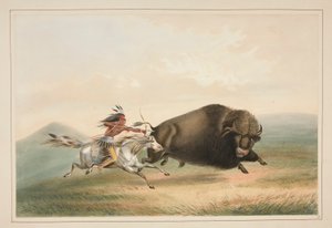 Buffeljacht, Achtervolging, pl. 5 uit de North American Indian Portfolio