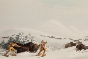  door George Catlin