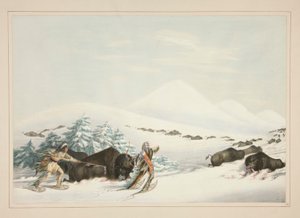 Buffeljacht, op sneeuwschoenen, pl. 15 uit de North American Indian Portfolio door George Catlin
