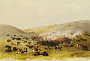 Buffeljacht, omsingeling, c.1832