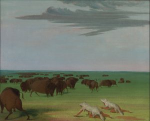 Buffeljacht onder het wolfsmasker door George Catlin