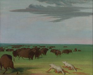 Buffeljacht onder het wolfshuidmasker, 1832-1833 door George Catlin