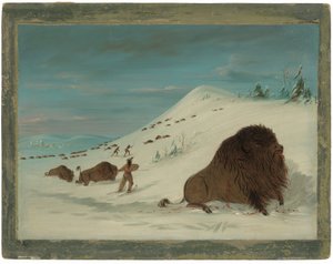 Buffalo lancing in de sneeuwdriften - Sioux door George Catlin