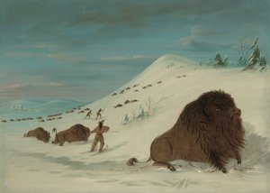 Buffalo Lancing in de sneeuwdriften - Sioux