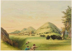Buffeljacht, nadering in een ravijn door George Catlin
