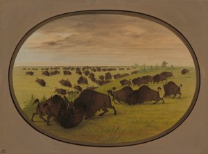 Stierengevecht, 1861-1869 door George Catlin
