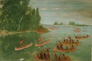Kano Race Bij Sault Ste. Marie door George Catlin