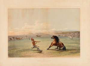 Het wilde paard vangen - nr. 4 door George Catlin