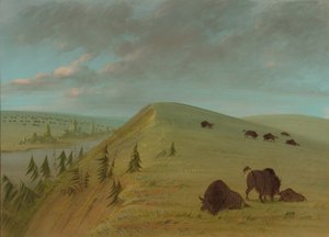 Cedar Bluffs, 1861-1869