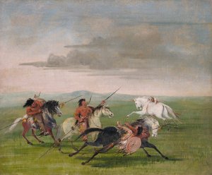 Comanche rijkunst
