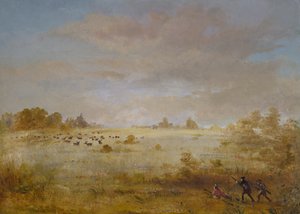 Elk Grazend op een Herfstprairie door George Catlin
