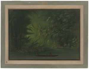 Toegang tot een Lagune, Oever van de Amazone