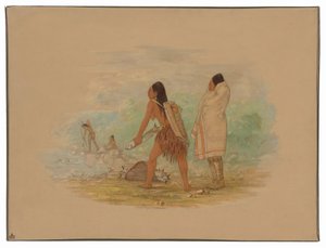 Flathead Indianen