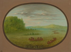 Wilde rijst verzamelen - Winnebago, 1861-1869 door George Catlin