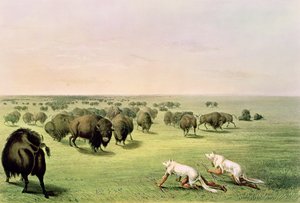 Buffeljacht vermomd met wolvenvellen, ca. 1832