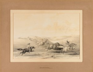 Indianen jagen op buffels - nr. 29