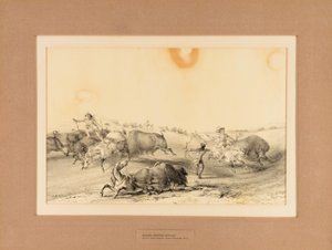 Indianen jagen op buffels - nr. 7