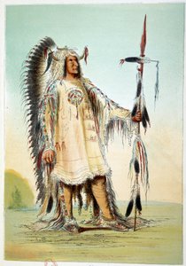 Indianen van Amerika: Mah-To-Toh-Pa (Mah To Toh Pa), tweede Mandan-hoofdman in hoofdmanstenue. Illustratie door George Catlin (1794-1872) door George Catlin
