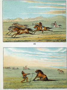 Indianen van Amerika: hoe wilde paarden te vangen. Illustratie door George Catlin (1794-1872)
