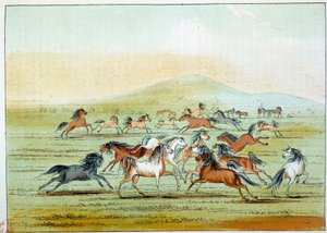 Indianen van Amerika: Wilde paarden gejaagd door Indianen. Illustratie door George Catlin