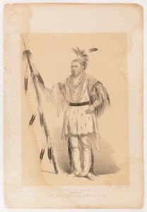 Joc-o-sot, de wandelende beer door George Catlin