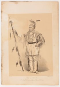 Joc-o-sot, de wandelende beer door George Catlin