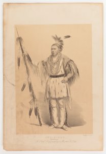 Joc-o-sot, de wandelende beer door George Catlin